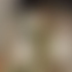 Universal Folk Oracle – A Year of Connect in Strange Times