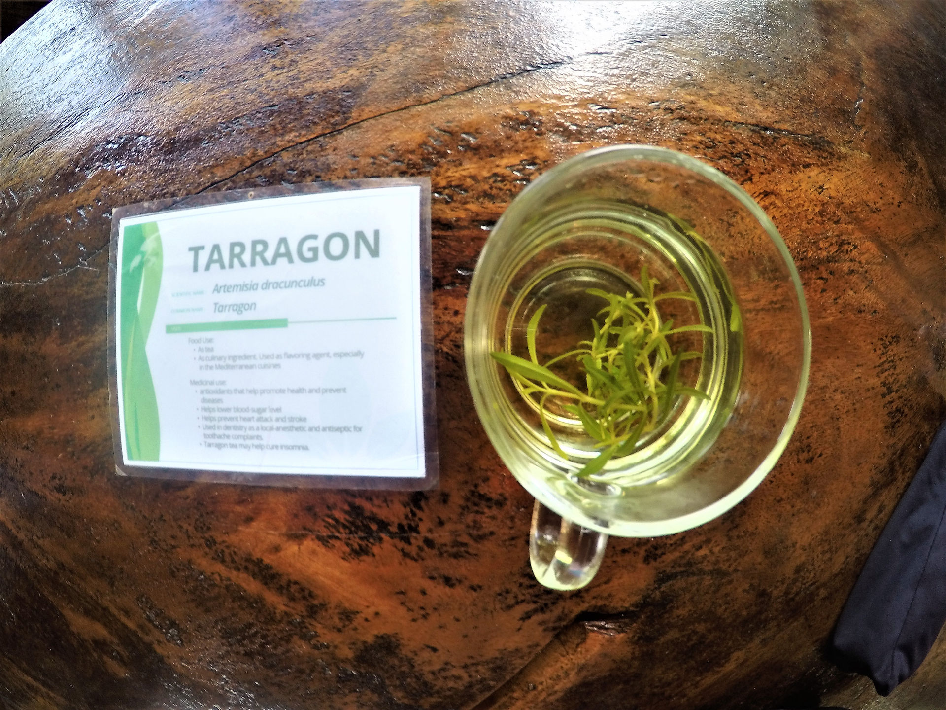 Sip in the Goodness of Tarragon Tea