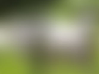 Entenda por que indústrias de alimentos e produtos químicos tiveram queda na produção em Goiás