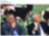 Lei prevê incentivo apenas a indústria que não importar leite