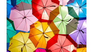 Transform Life Transitions with Positive Psychology Techniques
