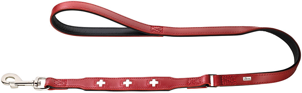 Laisse en Cuir Suisse - Rouge