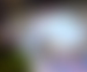 Halloween on Whitney Avenue!