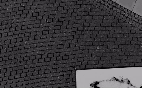 ezgif.com-optimize (1).gif