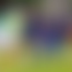 CDDC SUB15 INICIA PARTICIPACIÓN EN CUADRANGULAR C DE LIGA DEL VALLE