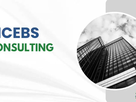 MCEBS CONSULTING, Votre Partenaire de santé financière