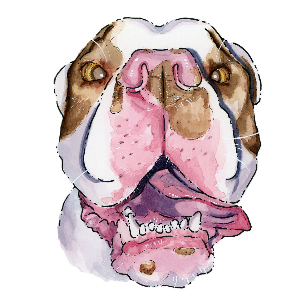 Thumbnail: Custom Pet Portrait