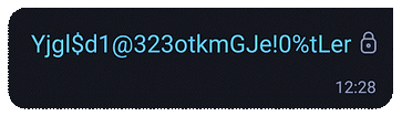 SSL encryption