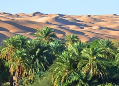 Dunes de l'erg Ouarane.jpeg