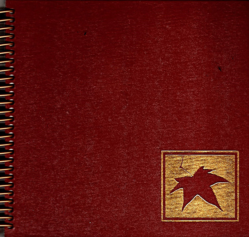 The Fall of Freddie the Leaf Pocketbook Journal