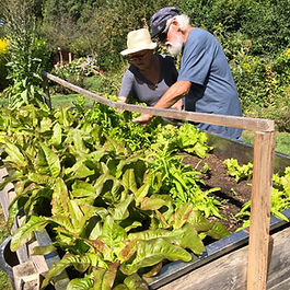 Angebote und Kooperationen:
+ Öffentliche und private Führungen
+ Kombiführungen mit dem ART-GARTEN Niederurff
+ Vorträge mit Natur-/Umweltschutzthemen z.B. „Igel in Not“; „Naturnahes Gärtnern“ in der Alten Pfarrei Niederurff
+ Skizzierkurse im Freien über die Alte Pfarrei Niederurff
Ansprechspartnerin:
Dr. Alexandra Urbas
Parkstr. 3
34596 Bad Zwesten
06693/1619