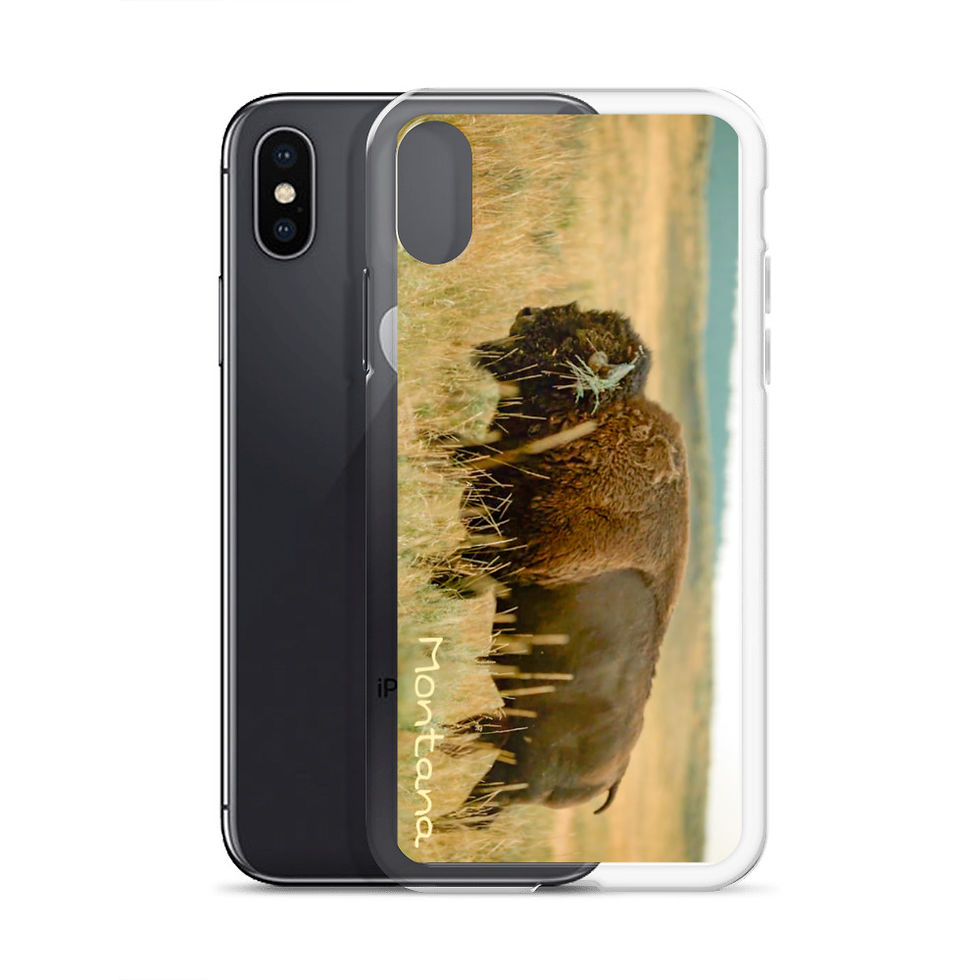 Thumbnail: Montana Bison iPhone Case