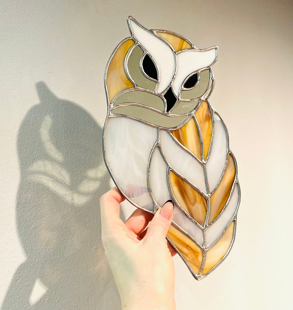 Brown & White Barn Owl