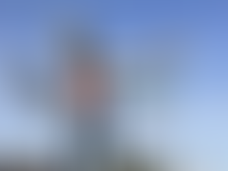 Sessione 10 -- Roadside Distractions