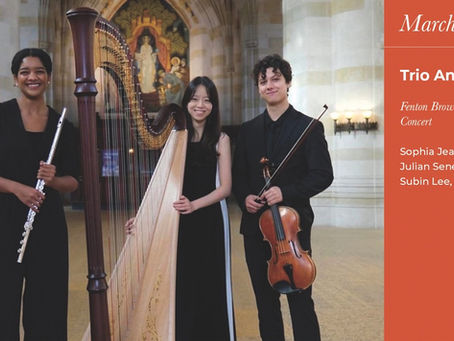 Essex Winter Series presents the Award-winning Trio Animoso