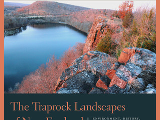 Explore New Haven’s Extraordinary Traprock Landscape Virtually with NHM
