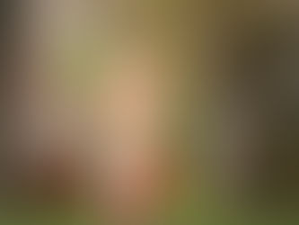 Designers Circus Pop-Up Shopping Event Returns to Guilford Art Center