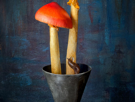 Submissions Open for Connecticut’s Oldest State-Wide Photography Competition