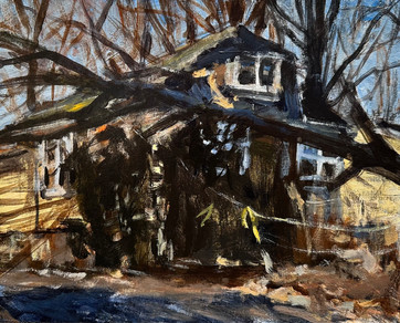 Masback_Dennis_ Downed Tree - Dennis Masback.jpeg
