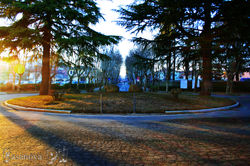 centro foto