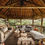 Thumbnail: 14 Day East African Adventure