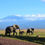 Thumbnail: One Week Kenyan Adventure