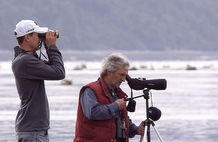 5 Tips for Beginner Bird Watchers