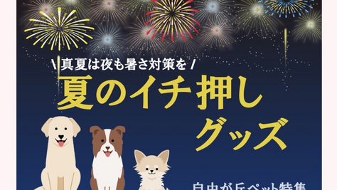 【DOGDEPT自由が丘MAST店（11）】SHOPイチオシ商品「夏のイチ押しグッズ」 − 自由が丘ペット特集