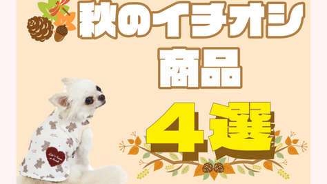 【ペットパラダイス自由が丘店(12)】SHOPイチオシ商品「秋のイチオシ商品」ー自由が丘ペット特集