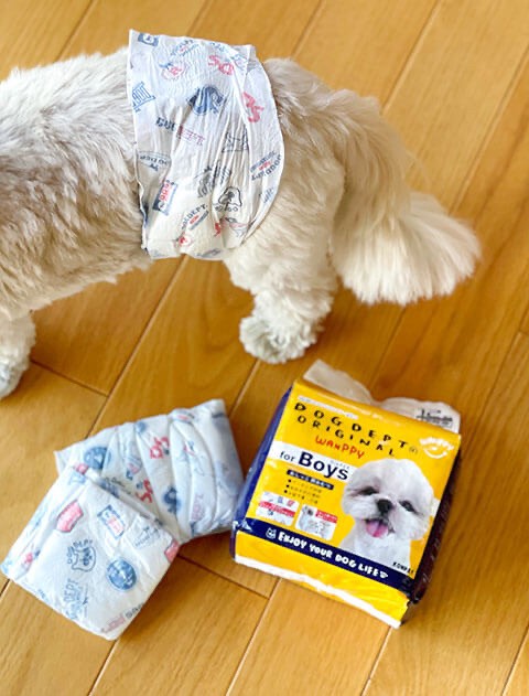 WAN PPY マナーオムツ -男の子用-