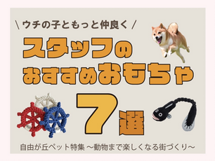 【DOGDEPT自由が丘MAST店(12)】SHOPイチオシ商品「スタッフのおすすめおもちゃ」 − 自由が丘ペット特集