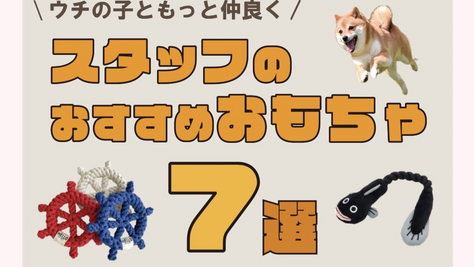 【DOGDEPT自由が丘MAST店（12）】SHOPイチオシ商品「スタッフのおすすめおもちゃ」 − 自由が丘ペット特集