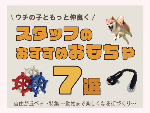 【ペットパラダイス自由が丘店（11）】SHOPイチオシ商品「スタッフのおすすめおもちゃ」ー自由が丘ペット特集