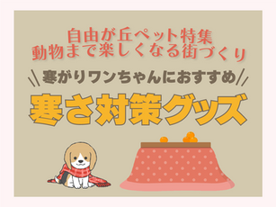 【DOGDEPT 自由が丘MAST店(7)】SHOPイチ押し商品「寒さ対策グッズ」 − 自由が丘ペット特集