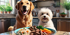 White Shichon dog beside homemade dog treats on a table