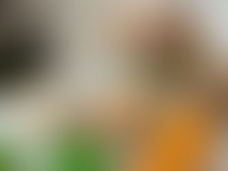 Adorable tan chef dog with a white chef hat, smiling next to fresh chicken, pumpkin, peas, and rice ingredients in a modern white kitchen.