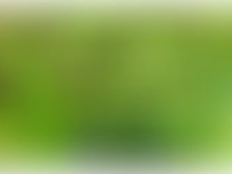 2025.05.26
