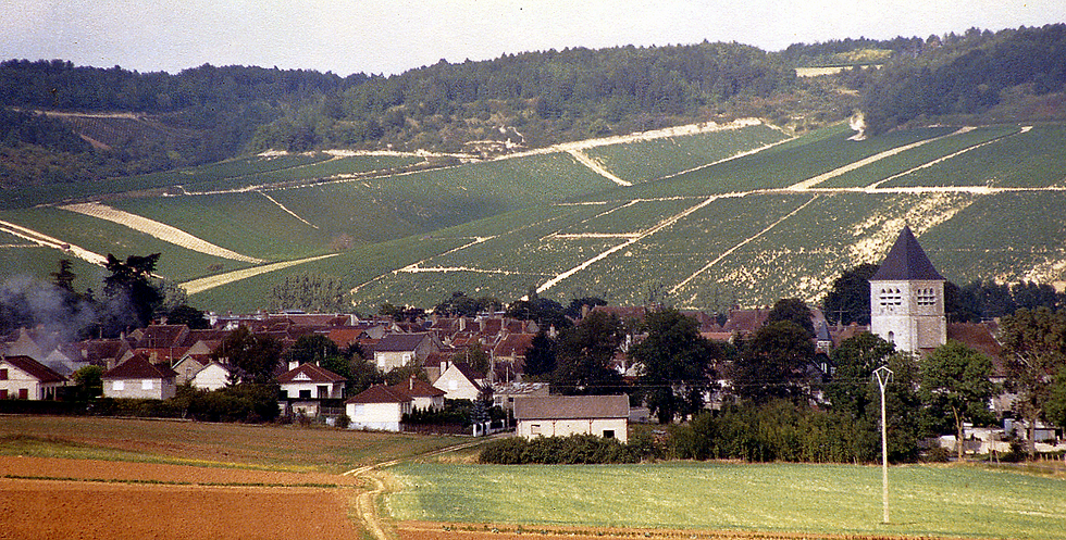 Vineyards