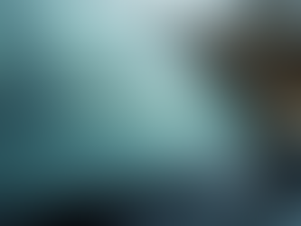 Simple Steps to Effective Windscreen Chip Repair