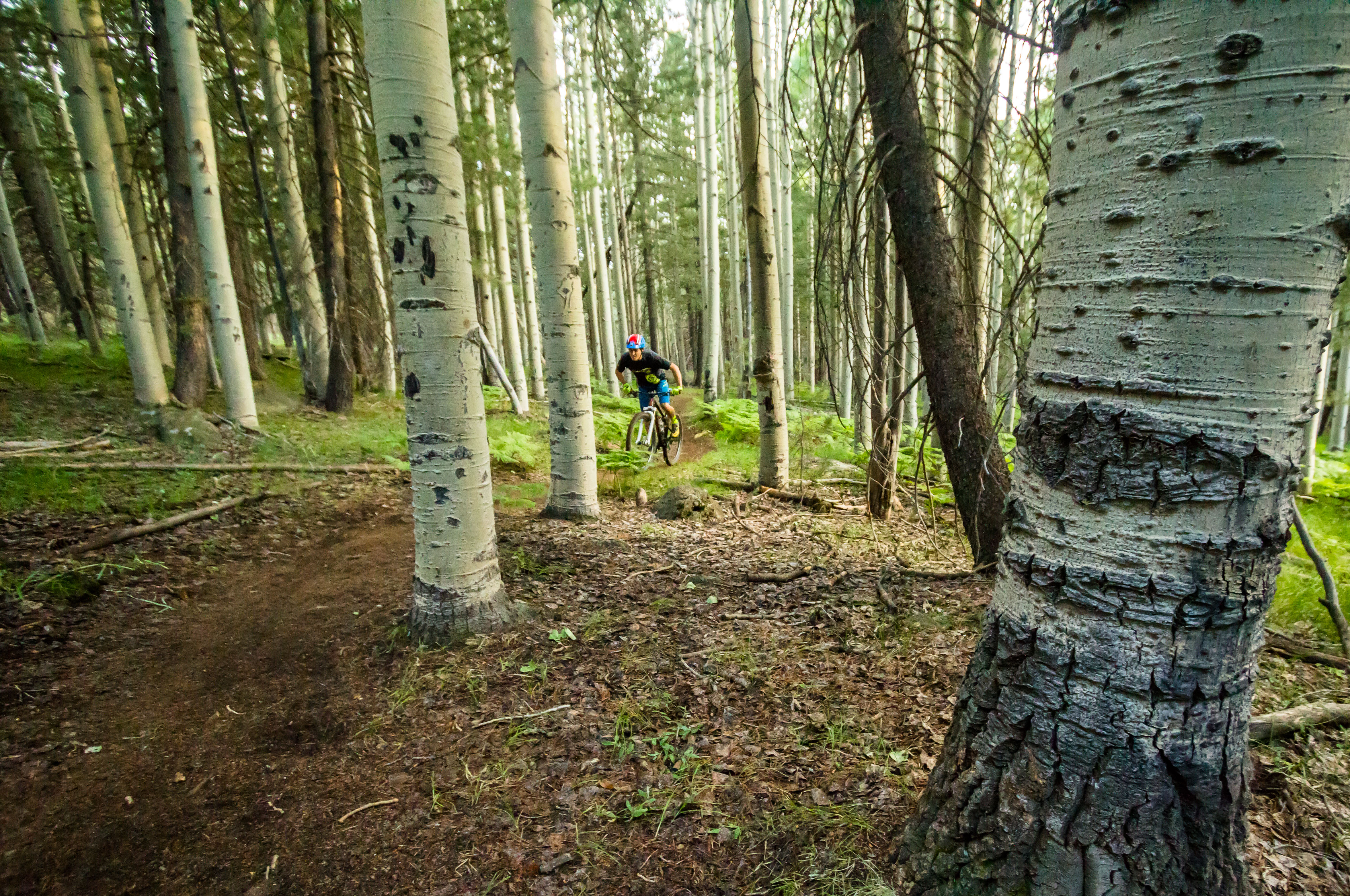 aspen2