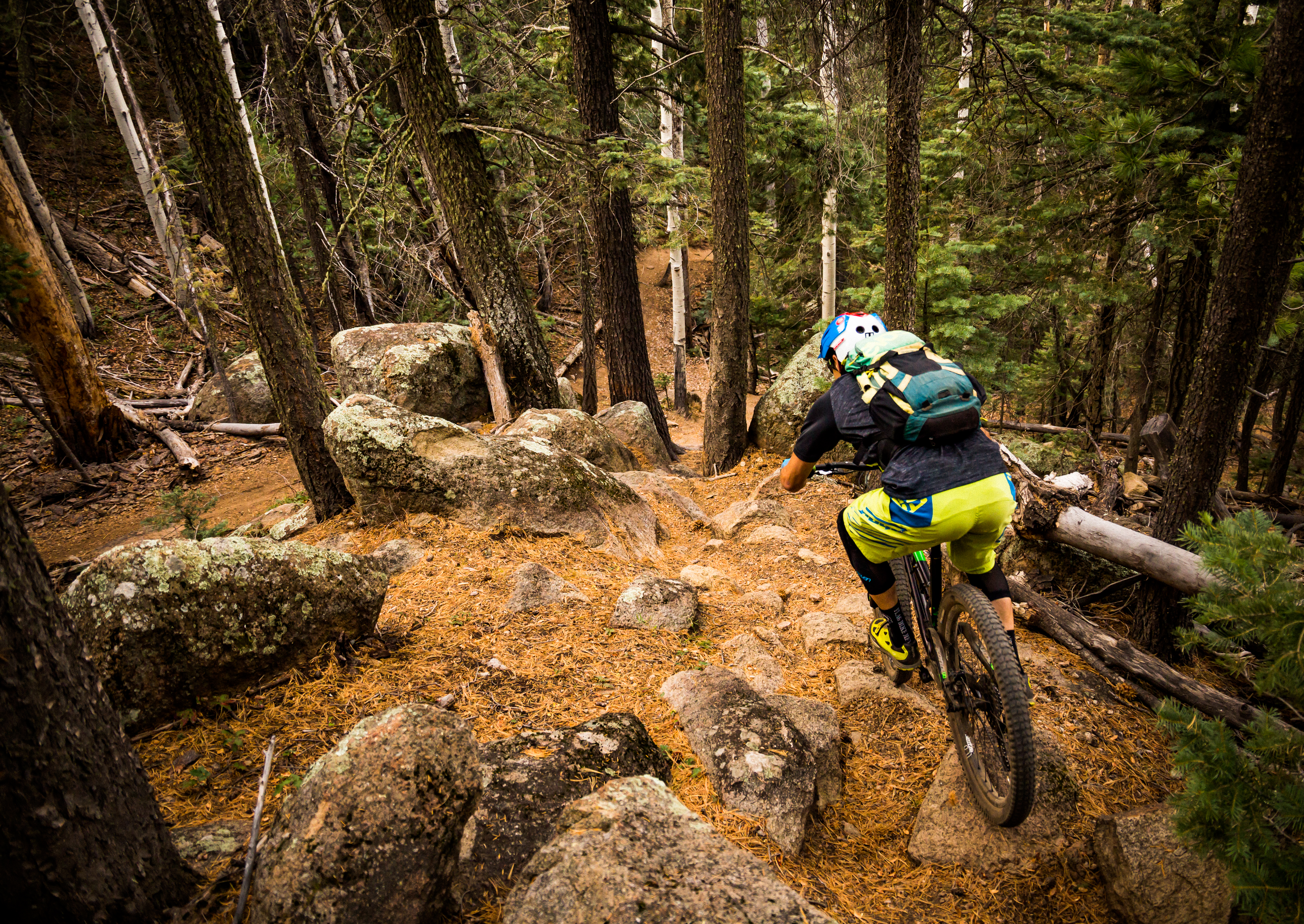 worldcup_scott_behind