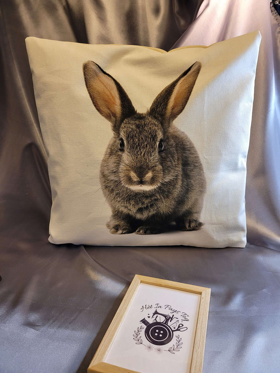 housse de coussin rigolo humour recto verso