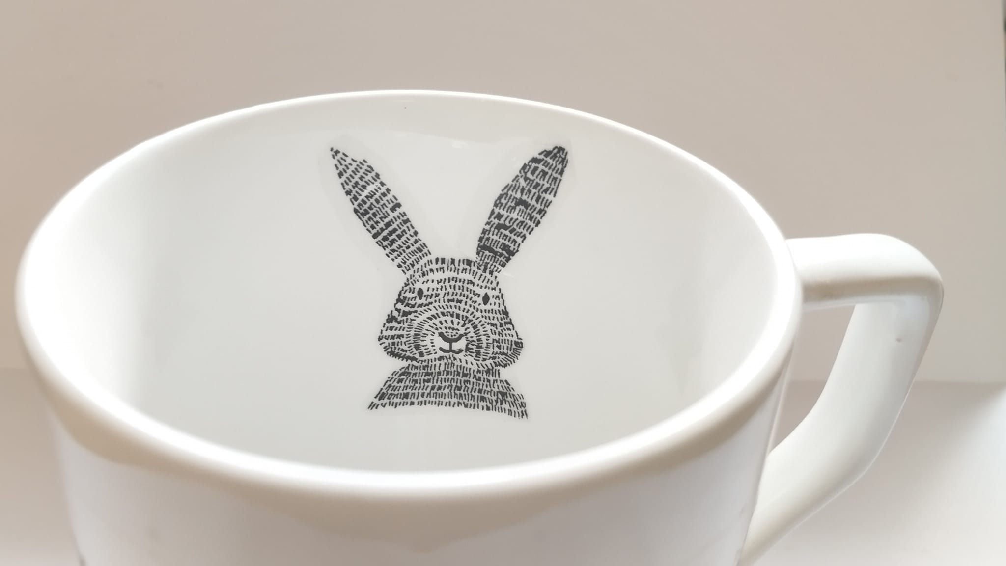 ספל ארנב מצוייר