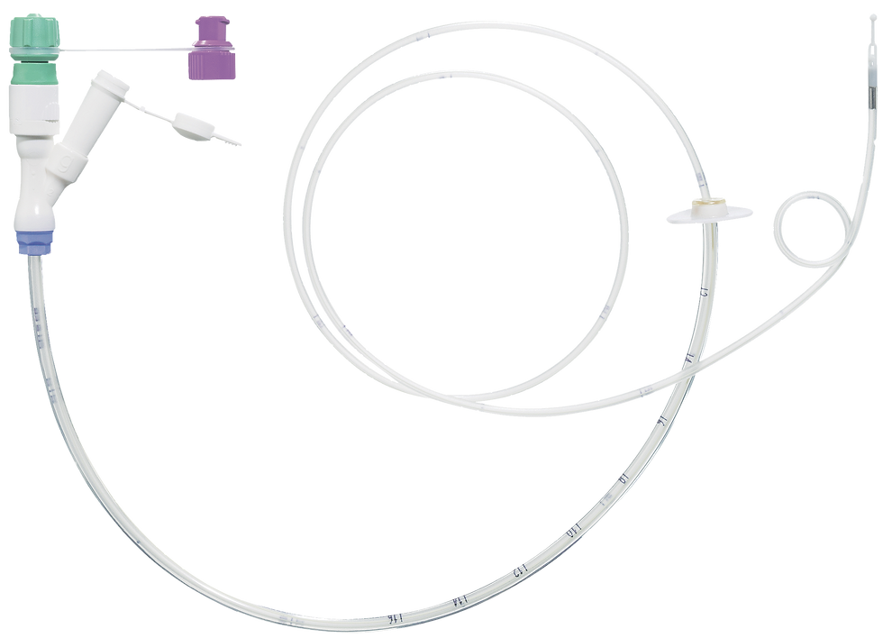 PEG website main trans.png