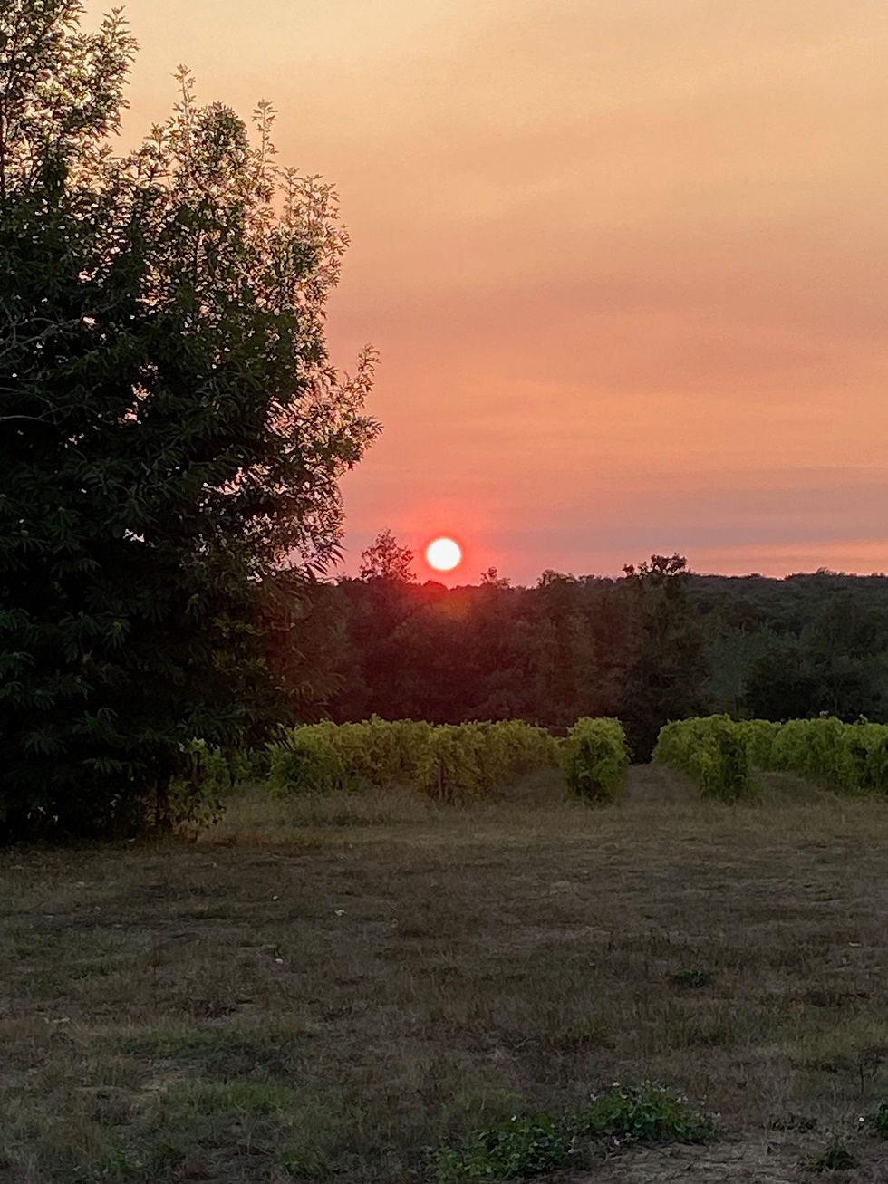 Camping_à_la_ferme_GERS