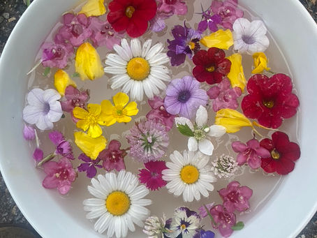 Reflections on Completing Yoga Teacher Training at Tusket House