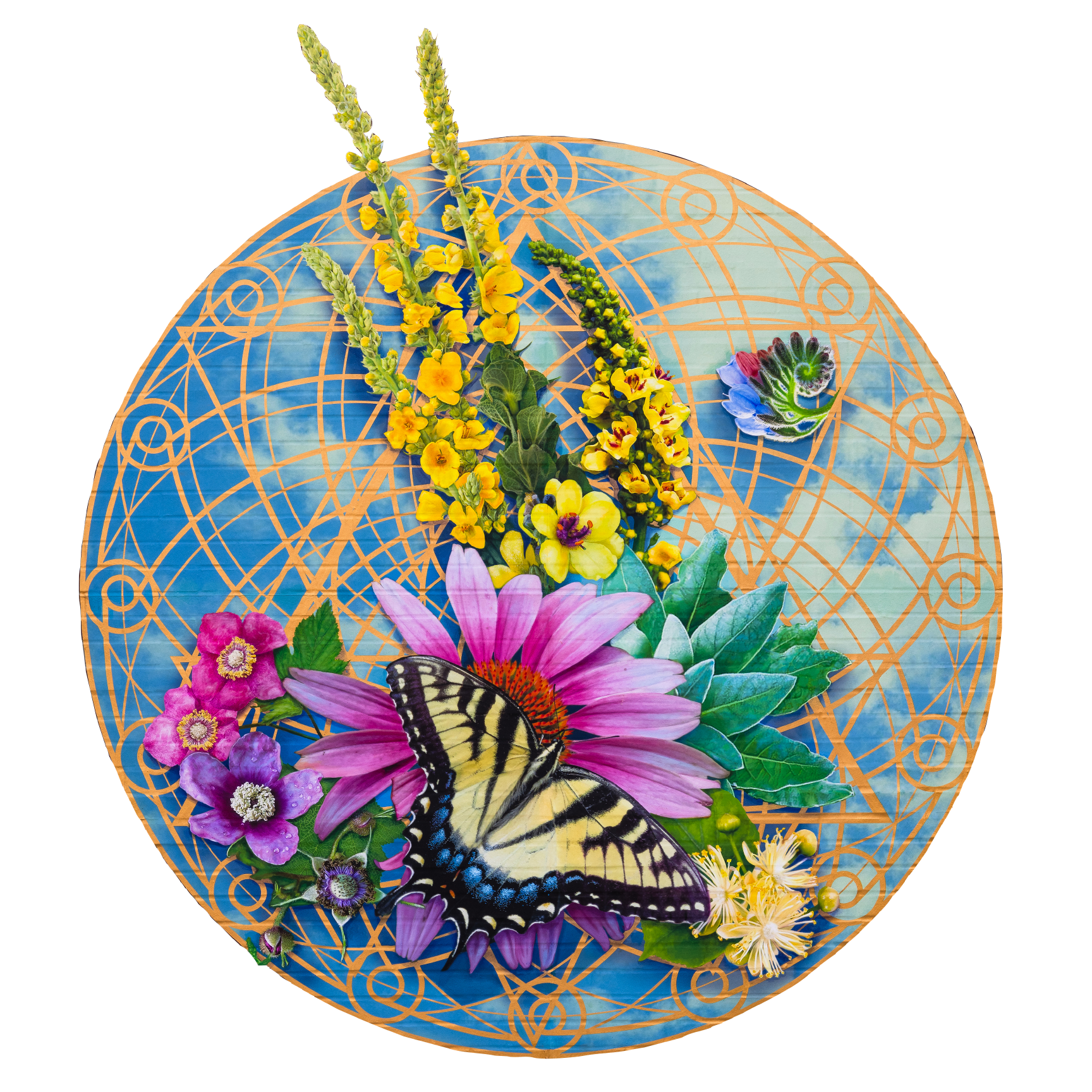 wild medicine eco mural limited edition reproduction