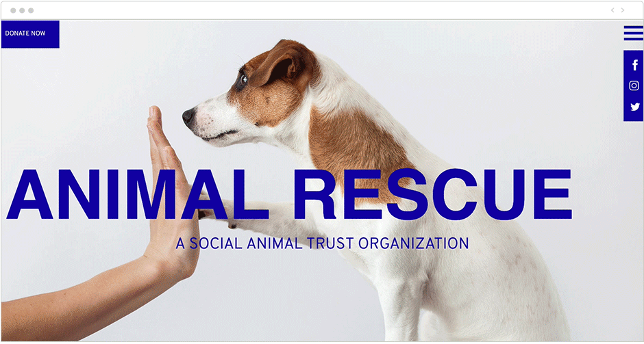 Exemplo de site com efeito parallax: Inky Blue Animal Rescue