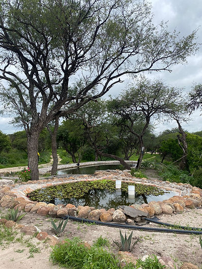 Finished pond Lot 5.jpeg