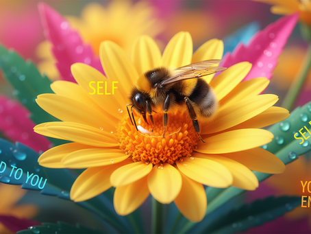 A Portal to Mindful Habits for Mindful Living Site